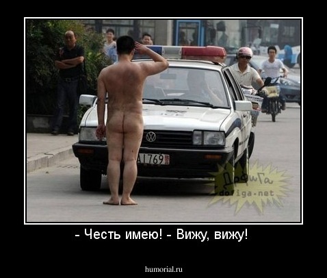 - Честь имею! - Вижу, вижу! 