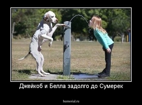 Джейкоб и Белла задолго до Сумерек