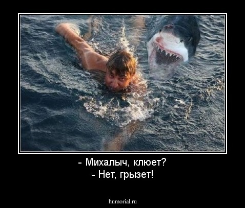 - Михалыч, клюет?
- Нет, грызет!