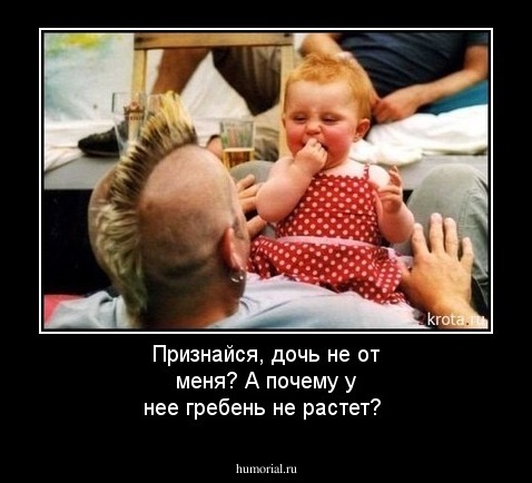 Признайся, дочь не от меня? А почему у нее гребень не растет?