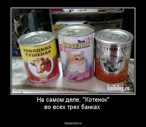 На самом деле, "Котенок" во всех трех банках