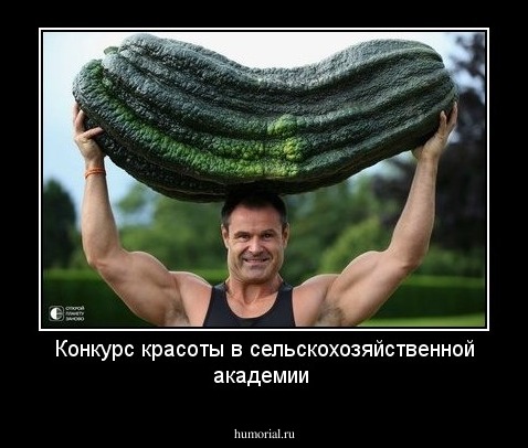 Конкурс красоты в сельскохозяйственной академии