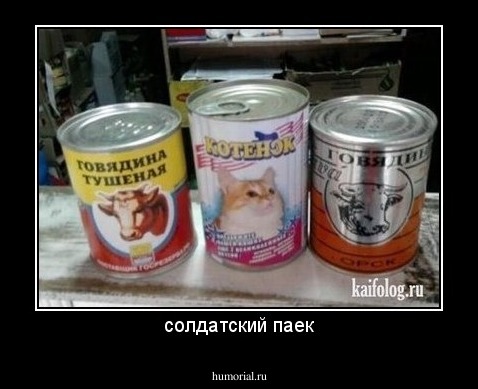 солдатский паек