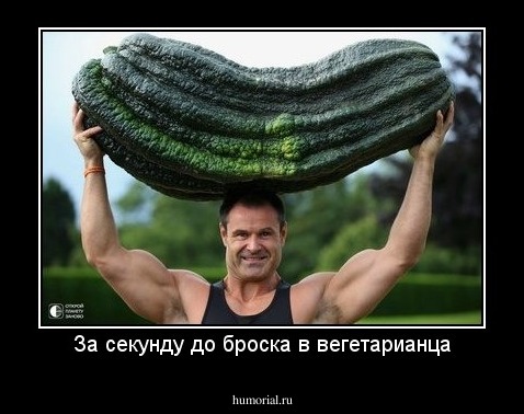 За секунду до броска в вегетарианца