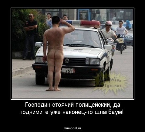 Господин стоячий полицейский, да поднимите уже наконец-то шлагбаум!