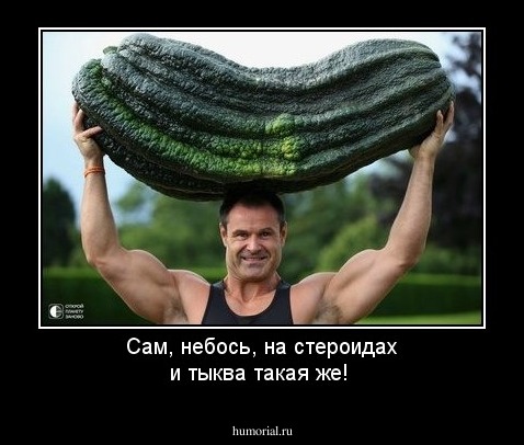 Сам, небось, на стероидах и тыква такая же!