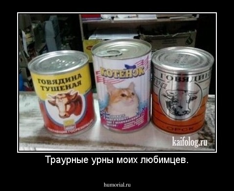 Траурные урны моих любимцев.