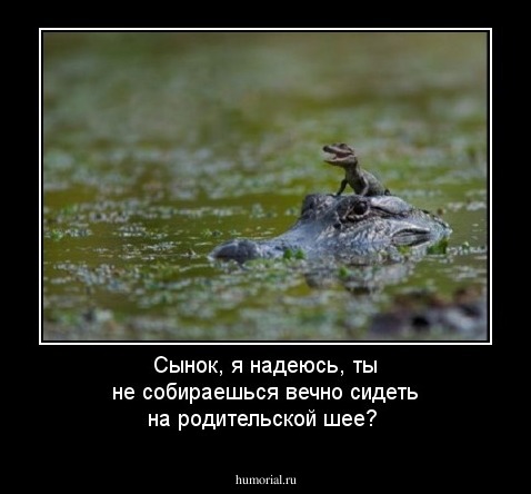 Сынок, я надеюсь, ты не собираешься вечно сидеть на родительской шее?