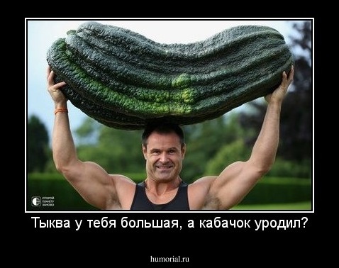 Тыква у тебя большая, а кабачок уродил?