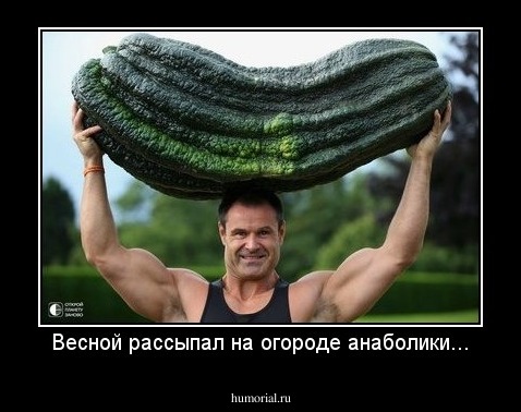 Весной рассыпал на огороде анаболики...
