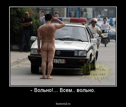 - Вольно!... Всем.. вольно.