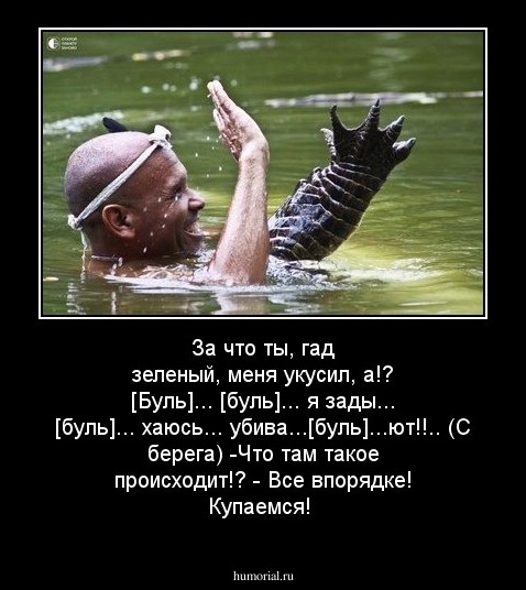За что ты, гад зеленый, меня укусил, а!?
[Буль]... [буль]... я зады... [буль]... хаюсь... убива...[буль]...ют!!..
(С берега) -Что там такое происходит!?
- Все впорядке! Купаемся!
