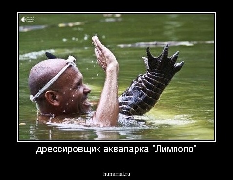 дрессировщик аквапарка "Лимпопо"