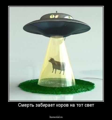 Смерть забирает коров на тот свет