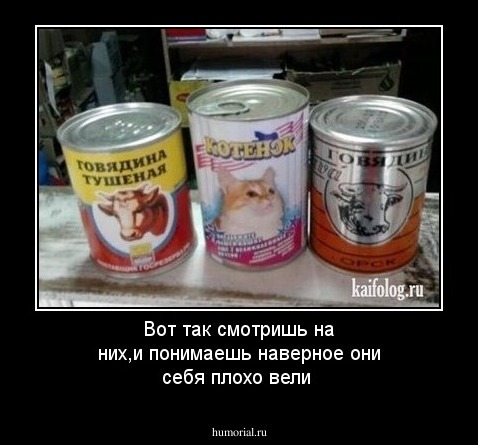 Вот так смотришь на них,и понимаешь наверное они себя плохо вели