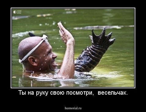 Ты на руку свою посмотри,  весельчак.