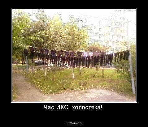 Час ИКС  холостяка! 
