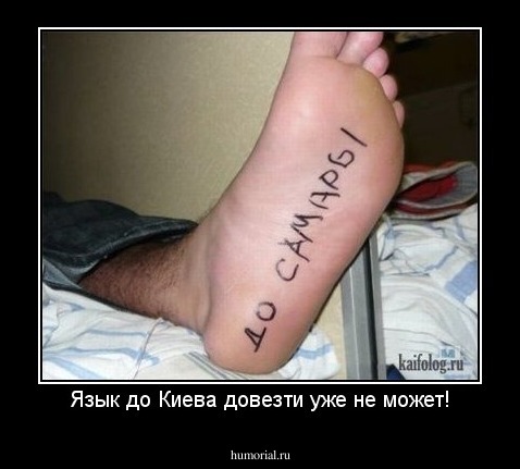 Язык до Киева довезти уже не может!