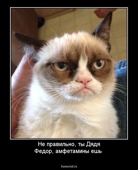 Не правильно, ты Дядя Федор, амфетамины ешь