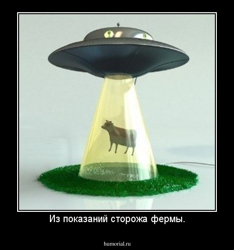 Из показаний сторожа фермы.