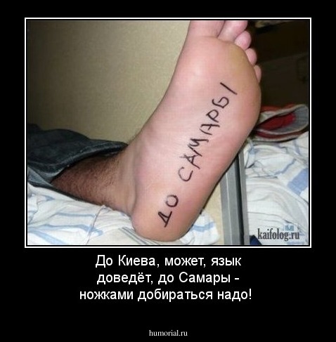 До Киева, может, язык доведёт,  до Самары - ножками добираться надо!