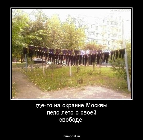 где-то на окраине Москвы
пело лето о своей свободе