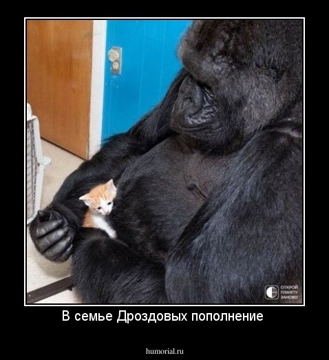 В семье Дроздовых пополнение 