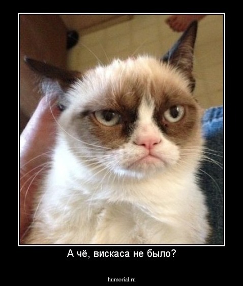 А чё, вискаса не было?
