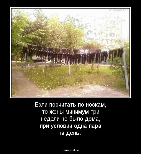 Если посчитать по носкам, то жены минимум три недели не было дома, при условии одна пара на день.
