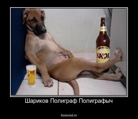 Шариков Полиграф Полиграфыч