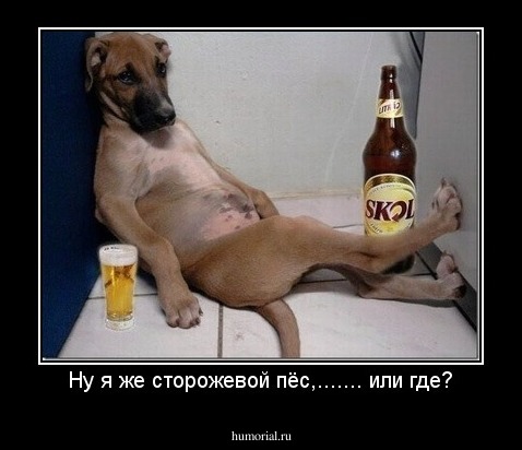 Ну я же сторожевой пёс,....... или где?