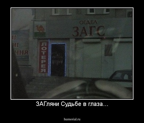 ЗАГляни Судьбе в глаза...