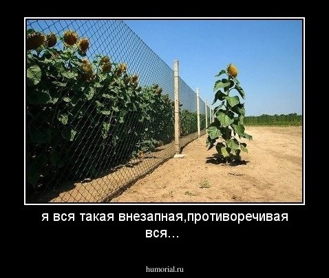 я вся такая внезапная,противоречивая вся...