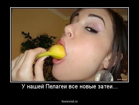 У нашей Пелагеи все новые затеи...