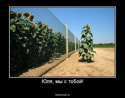 Юля, мы с тобой!