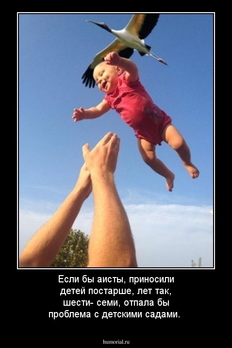 Если бы аисты, приносили детей постарше, лет так, шести- семи, отпала бы проблема с детскими садами.