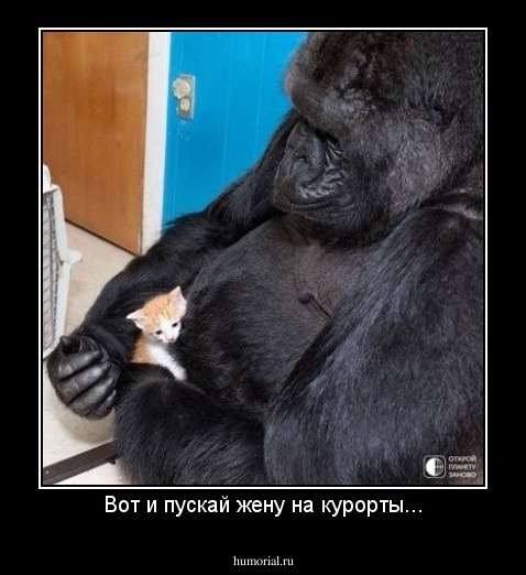 Вот и пускай жену на курорты...