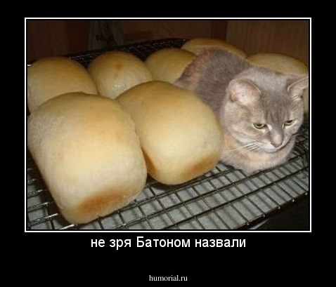 не зря Батоном назвали