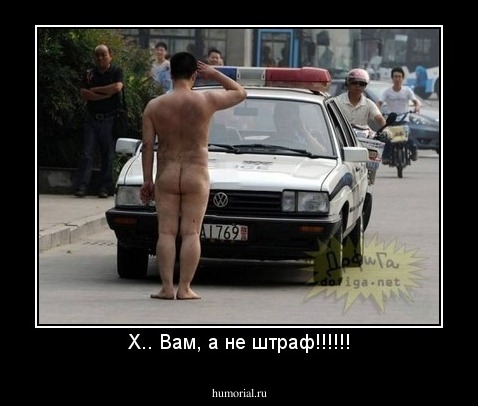 Х.. Вам, а не штраф!!!!!!