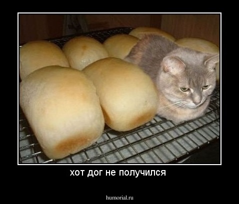 хот дог не получился 