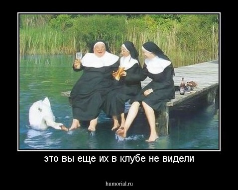 это вы еще их в клубе не видели