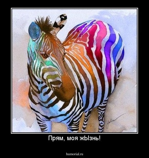 Прям, моя жЫзнь!