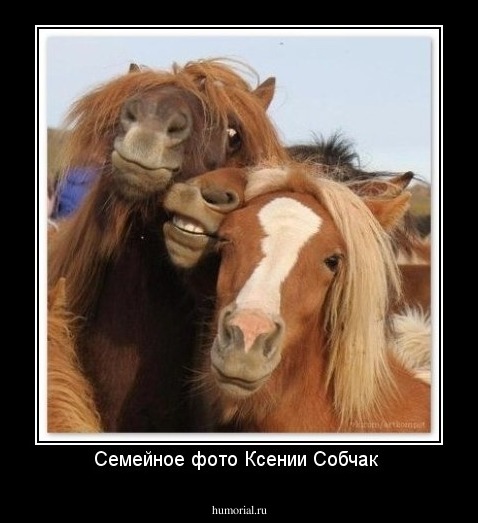 Семейное фото Ксении Собчак 