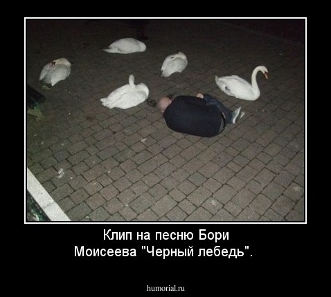 Клип на песню Бори Моисеева "Черный лебедь".