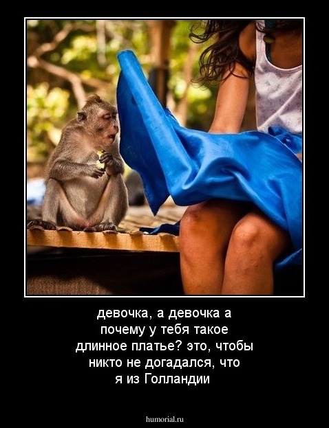 девочка, а девочка а почему у тебя такое длинное платье?
это, чтобы никто не догадался, что я из Голландии