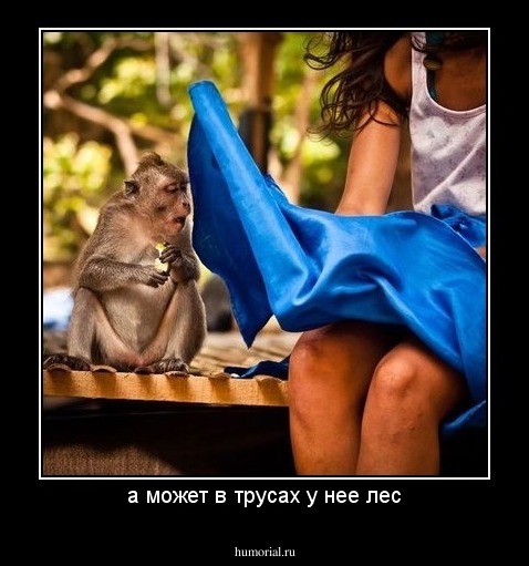 а может в трусах у нее лес