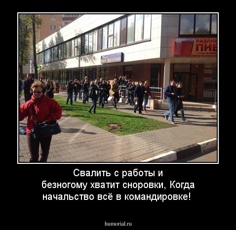 Свалить  с работы и безногому хватит сноровки, Когда начальство всё в командировке!