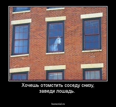 Хочешь отомстить соседу снизу, заведи лошадь.