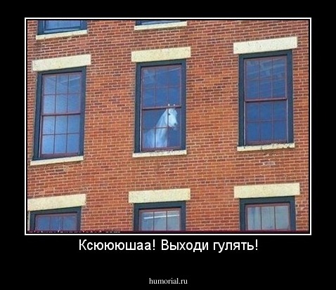 Ксюююшаа! Выходи гулять!