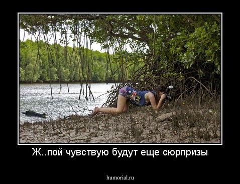 Ж..пой чувствую будут еще сюрпризы
